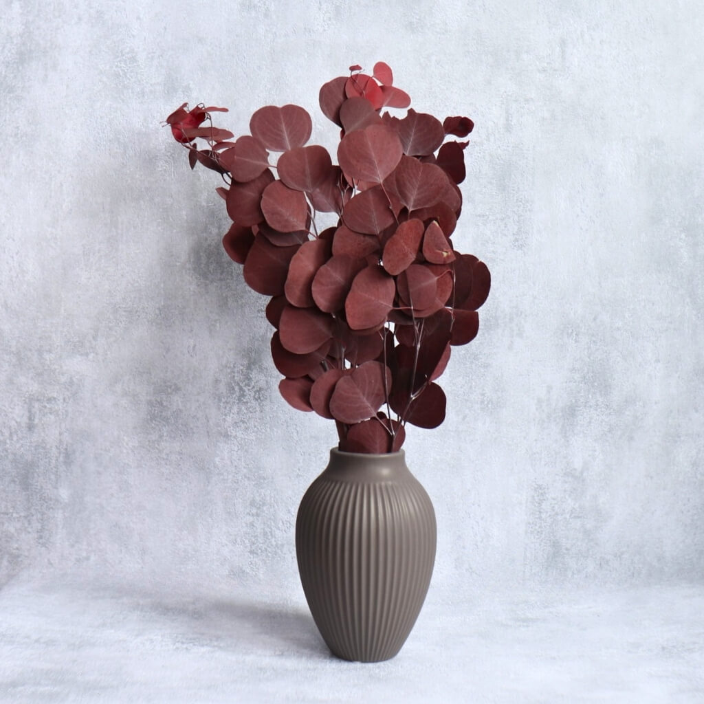Stabilizovaný Eucalyptus Populus červený ve váze – elegantní a dlouhotrvající dekorace